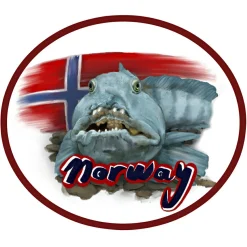 New Aufnäher "Norway" Sonstige Angel-Accessoires