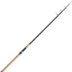 Outlet Diabolo Golden Circle (Dead Bait Heavy) Dead Bait Heavy Raubfischruten|Zielfischruten