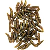 Hot Raubfischfutter Maggots (Shrimp) Raubfischangeln-Zubehör|Raubfischfutter