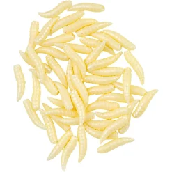 Sale Raubfischfutter Maggots (Natur) Raubfischangeln-Zubehör|Raubfischfutter