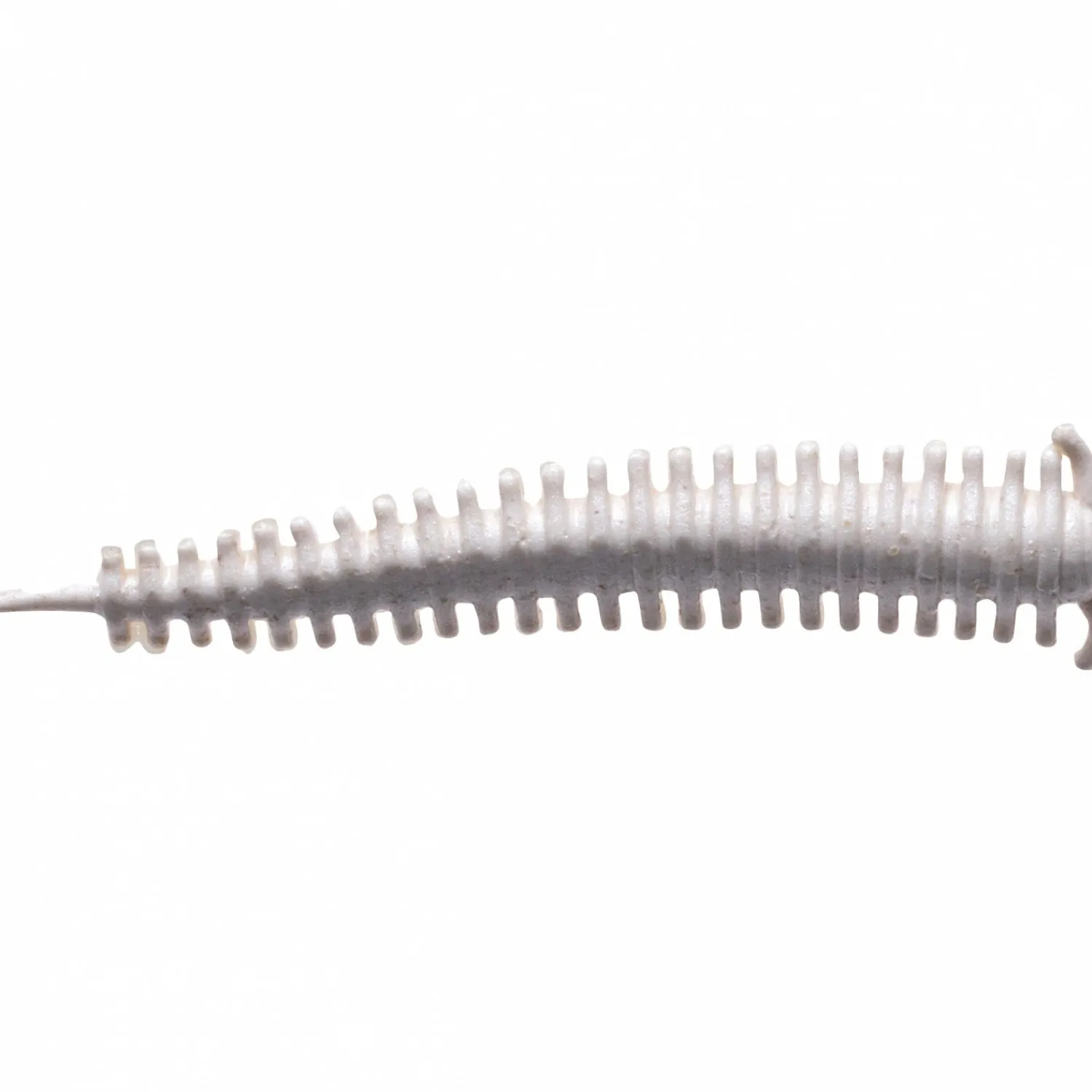 Best Gulp!® Saltwater Sandworm (White) Gummiköder ·Gummimaden & Gummiwürmer