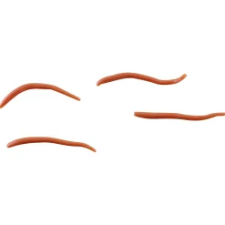 Sale Soft Baits Gulp Alive Angle Worm (Laubwurm) Raubfischangeln Kunstköder|Raubfischangeln Kunstköder
