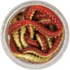 Berkley Softbait PowerBait Power Honey Worm (rot/gelb)< Gummiköder ·Gummimaden & Gummiwürmer|Raubfischangeln Kunstköder