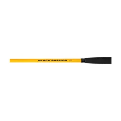 Sale Black Passion G2 Allround Wallerruten|Zielfischruten