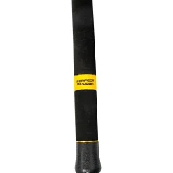 Discount Wallerruten Perfect Passion XH-S 300 cm -350 g Wallerruten|Zielfischruten