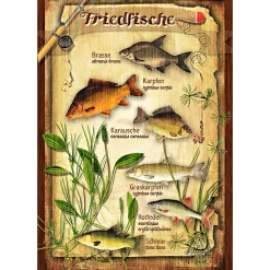 Best Blechschild (Friedfische) Angel-Dekoration|Geschenkideen Für Angler