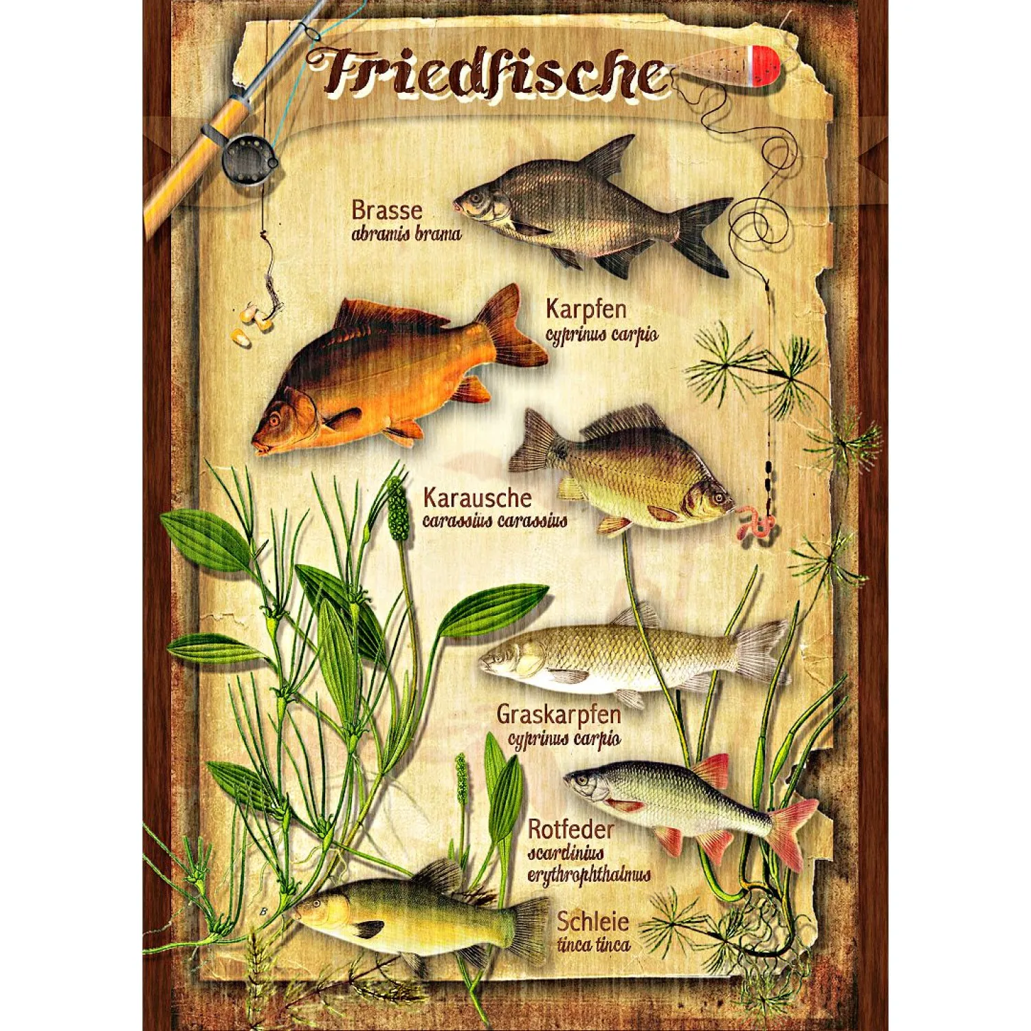 Best Blechschild (Friedfische) Angel-Dekoration|Geschenkideen Für Angler