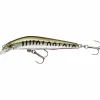 Cormoran Wobbler Cor F11 (Striped Seed)< Raubfischangeln Kunstköder|Wobbler
