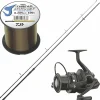 Daiwa Carp Set< Friedfisch-Angelsets|Friedfisch-Angelsets
