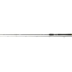Daiwa Legalis Spin< Spinnruten