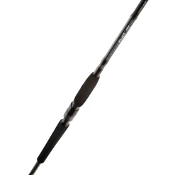 Daiwa Meerforellenruten Pro Staff LD Sea Trout Spin 305 cm 14,0-42,0 g< Spinnruten