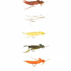 Dragon Fliegensortiment Fly Foam Grashopper Sortiment< Fliegen|Fliegen ·Trockenfliegen