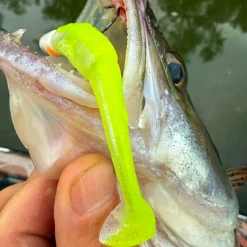 Fox Rage Scent Shad (Chartreuse Ayu)< Gummiköder ·Gummifische & Shads