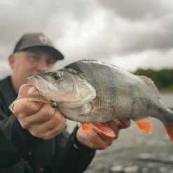 Fox Rage Scent Shad (Natural Wakasagi)< Gummiköder ·Gummifische & Shads