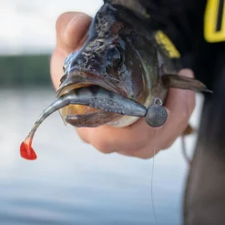 Scent Shad (Ultra Natural Perch) Gummiköder ·Gummifische & Shads