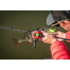 Best Warrior Zander Cast Baitcastruten