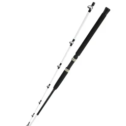 Kinetic Witcher Salt CC< Bootsruten|Bootsruten
