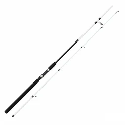 Clearance Witcher Salt CC Spinnruten