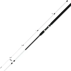Clearance Witcher Salt CC Spinnruten