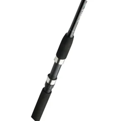 Clearance Witcher Salt CC Spinnruten