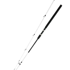 Clearance Witcher Salt CC Spinnruten