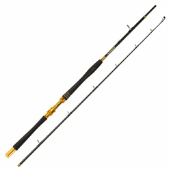 Kogha Meeresrute Seadominator 240 cm 30 lbs< Bootsruten|Bootsruten