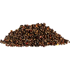 Kogha Particles Crazy Action Baits< Karpfenfutter·Partikelköder & Angel-Pellets|Karpfenfutter