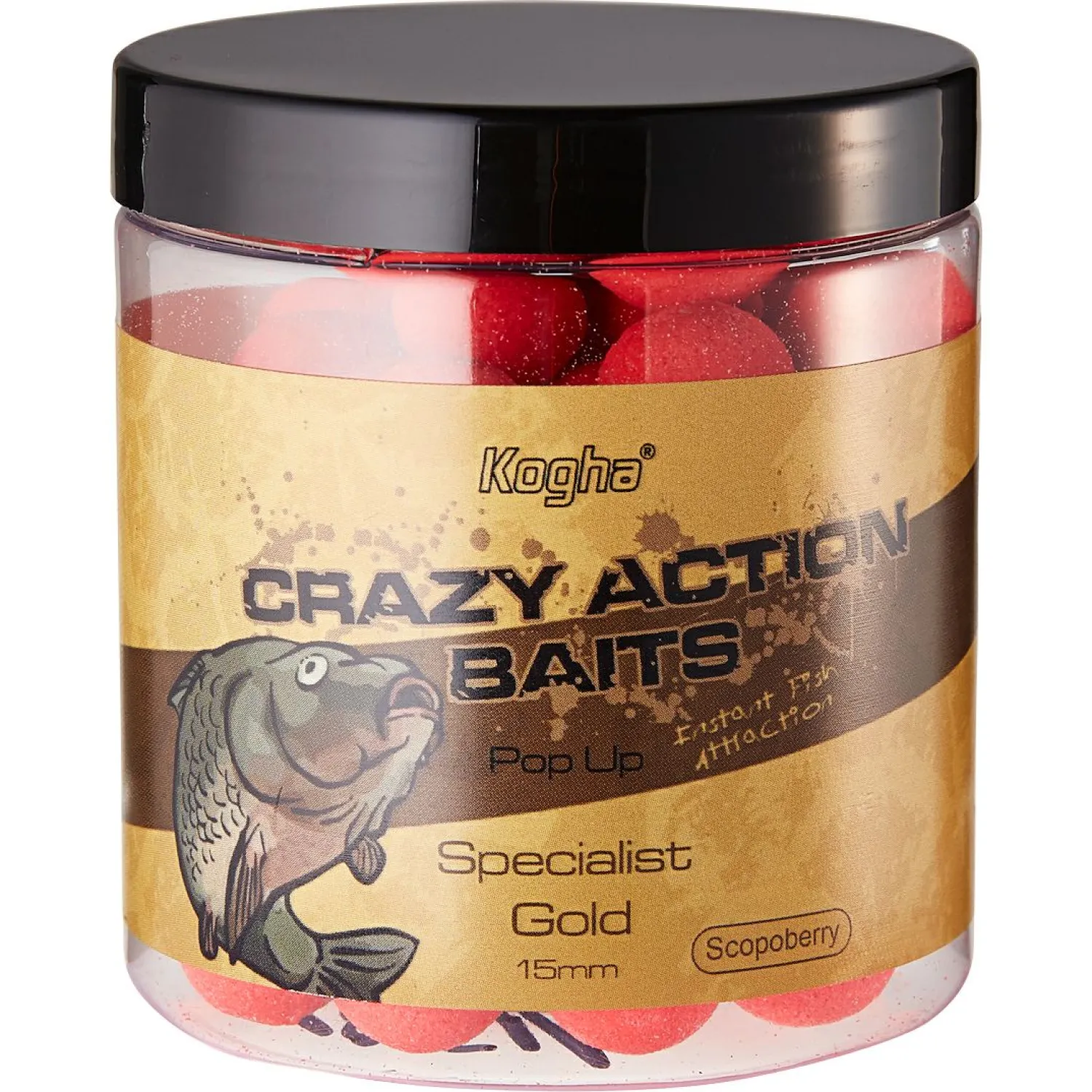 Kogha Pop Up Boilies Crazy Action Baits Specialist Gold (Scoberry)< Karpfenfutter·Boilies & Popup Boilies|Karpfenfutter