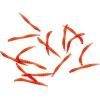 Sale Softbait Künstliche Mückenlarven Friedfischfutter|Friedfischangeln-Zubehör