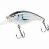 Sale Wobbler Midi Water (Super Roach) Wobbler|Raubfischangeln Kunstköder