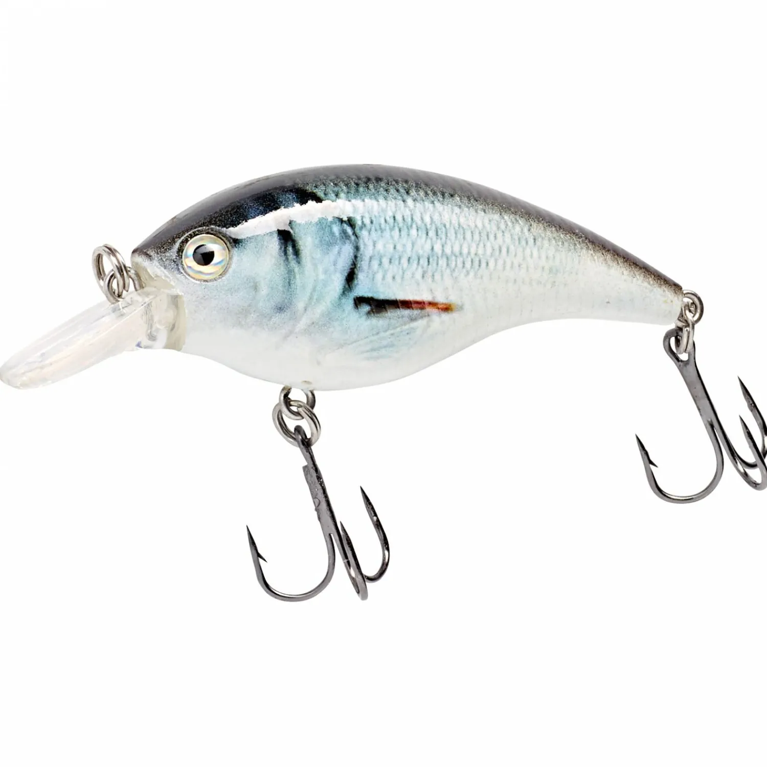 Sale Wobbler Midi Water (Super Roach) Wobbler|Raubfischangeln Kunstköder