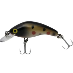 Kogha Wobbler Mini Deepdiver (Bachforelle)< Wobbler|Raubfischangeln Kunstköder