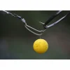 Korda Kickers D Rig (Braun)< Karpfenangeln-Zubehör