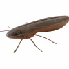 Discount BG (C-27) Gummiköder ·Creature Baits