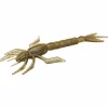 Nays DRGN (C-34)< Gummiköder ·Creature Baits