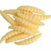 Paladin Auftriebsköder Bienenmade BigBig (creme)< Raubfischangeln Kunstköder