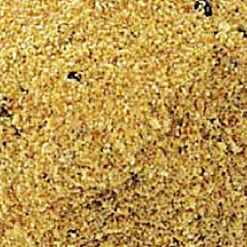 Clearance Fertigfutter (Allround Vanille) Friedfischfutter|Friedfischangeln-Zubehör