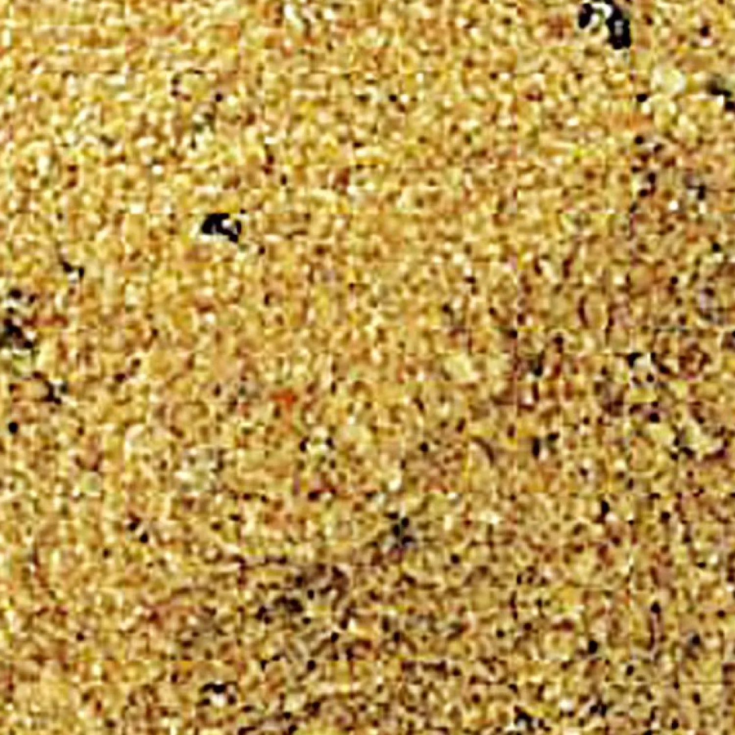 Clearance Fertigfutter (Allround Vanille) Friedfischfutter|Friedfischangeln-Zubehör