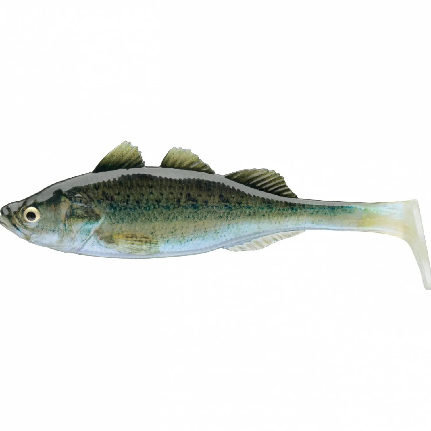 Clearance Live Perch (Baby Zander) Raubfischangeln Kunstköder|Gummiköder ·Gummifische & Shads