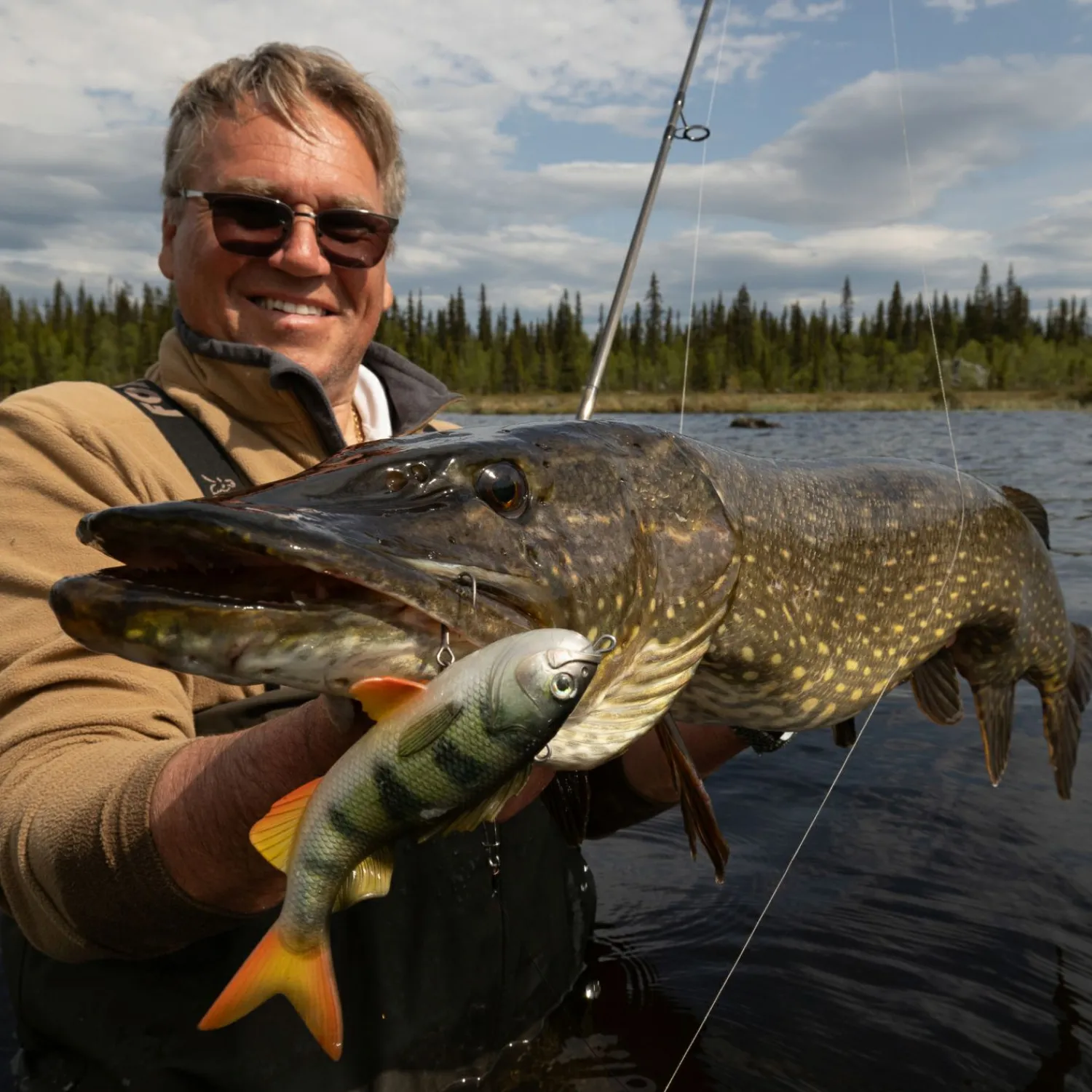 Pulz Bait Perch Skinz (Natural Perch)< Gummiköder ·Sonstige Weichplastikköder
