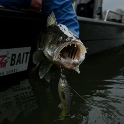 Pulz Bait Trout Kit (Rainbow Trout)< Gummiköder ·Sonstige Weichplastikköder