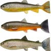 Pulz Bait Trout Skinz Set (Brown/Rainbow/Char)< Gummiköder ·Sonstige Weichplastikköder