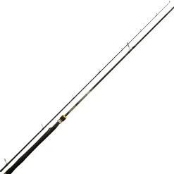 Quantum Raubfischruten Energy Extreme Jigging Spin Heavy L 245 2,45 m 21-84 g< Spinnruten