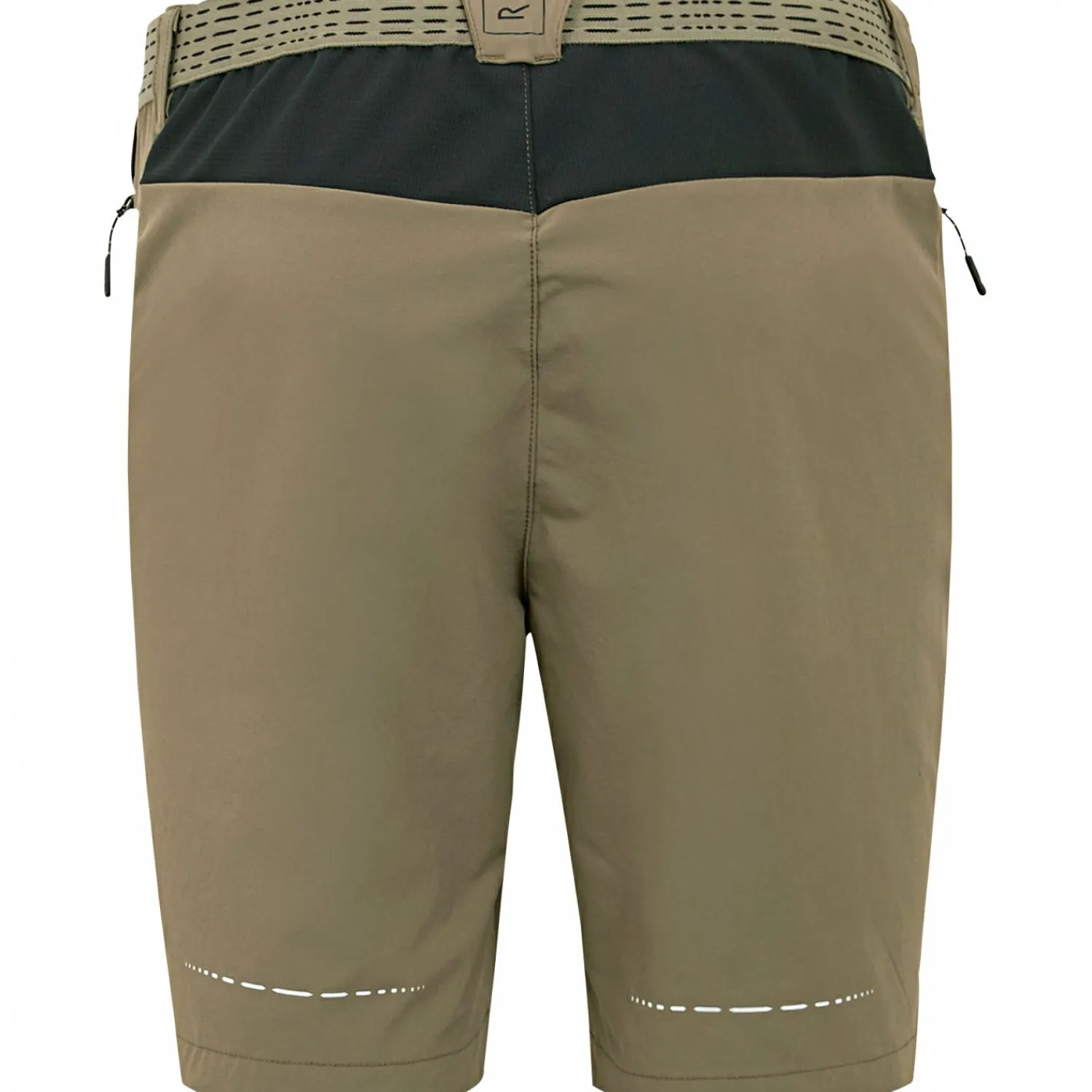 Regatta Mountain II Wandershorts Herren (Treetop/Black)< Outdoor- & Angelshorts & Cargoshorts