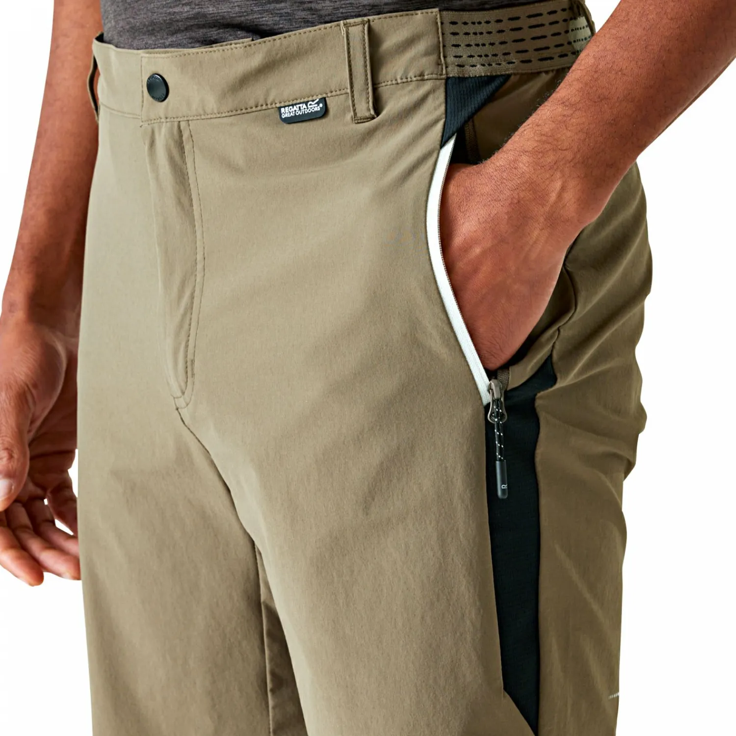 Regatta Mountain II Wandershorts Herren (Treetop/Black)< Outdoor- & Angelshorts & Cargoshorts
