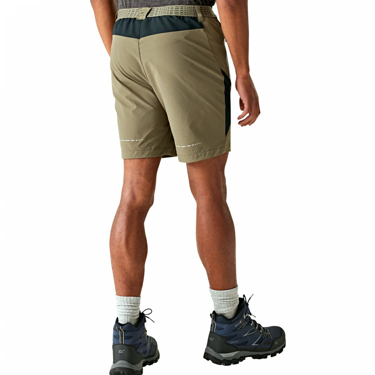 Regatta Mountain II Wandershorts Herren (Treetop/Black)< Outdoor- & Angelshorts & Cargoshorts