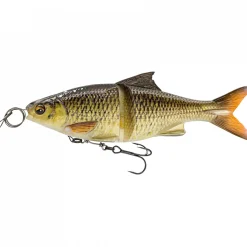 Online 3D Line Thru Glide Roach (Horny Bream) Wobbler