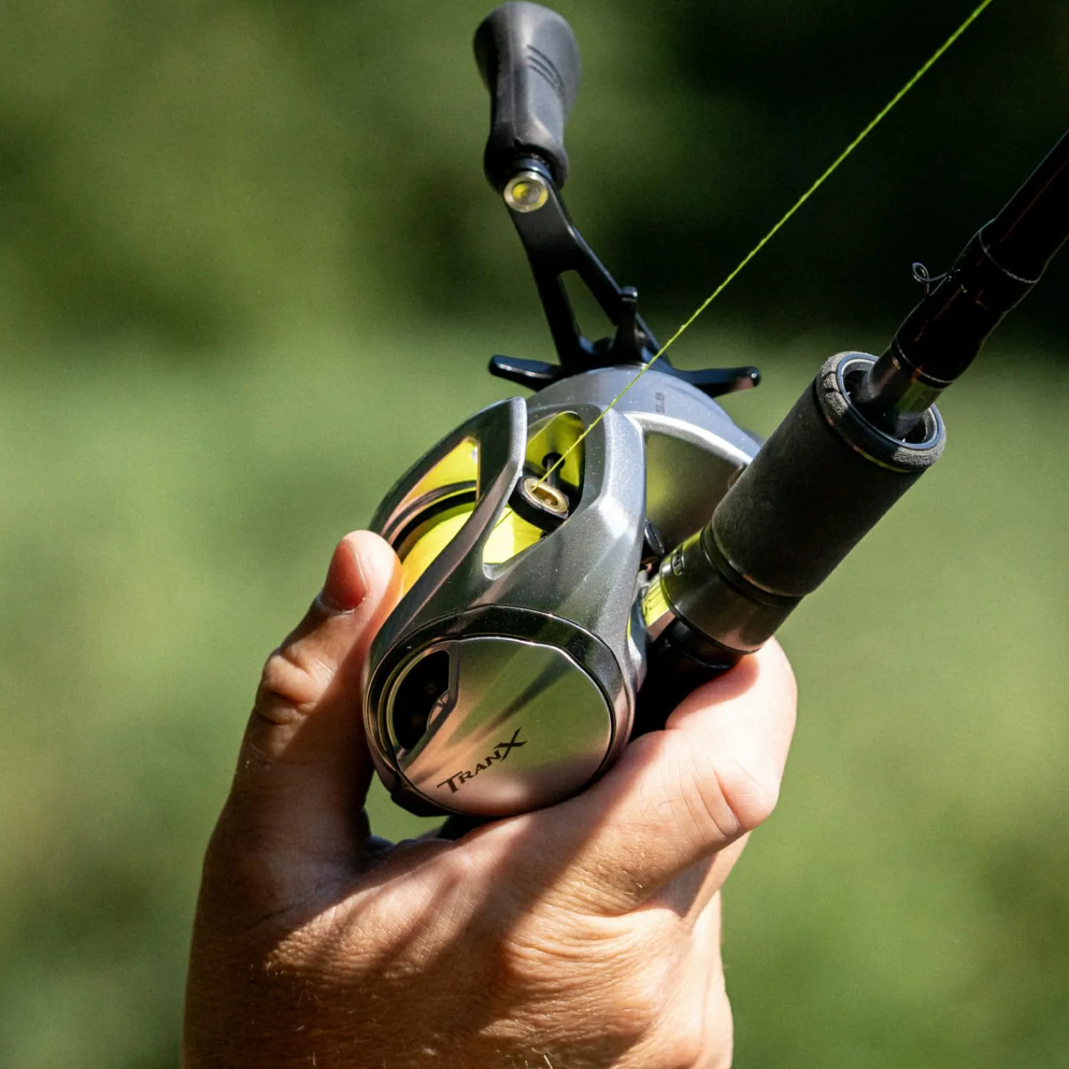 Shimano Baitcastrolle Tranx B 301 LH< Baitcastrollen