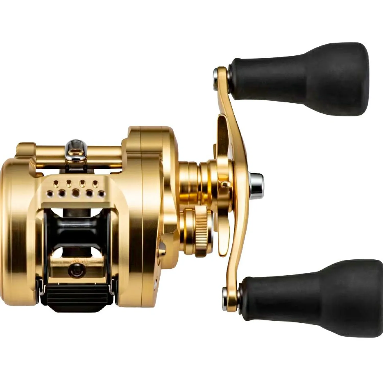 Shimano Calcutta Conquest MD 301 MD 301 XG LH B< Multirollen|Multirollen