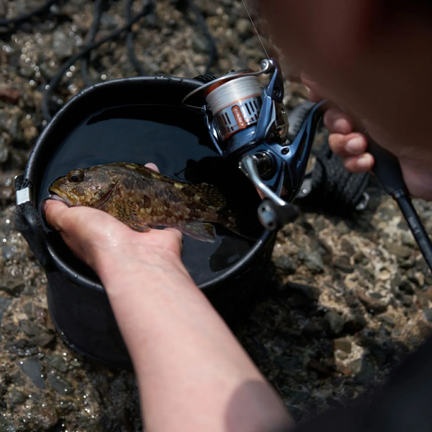 Shimano Spinnrolle Nasci FD C5000 XG< Raubfischrollen